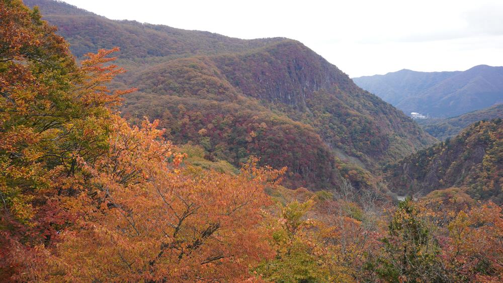 【紅葉の日光】9時間で日光の絶景スポットをコンプリート、最高すぎる旅ランの写真7