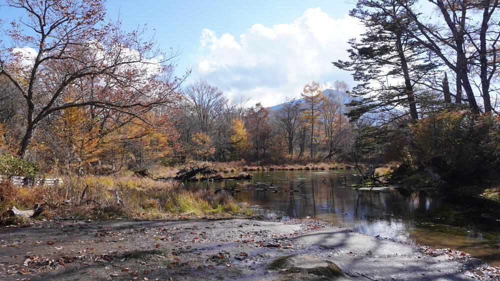 【紅葉の日光】9時間で日光の絶景スポットをコンプリート、最高すぎる旅ランの写真10
