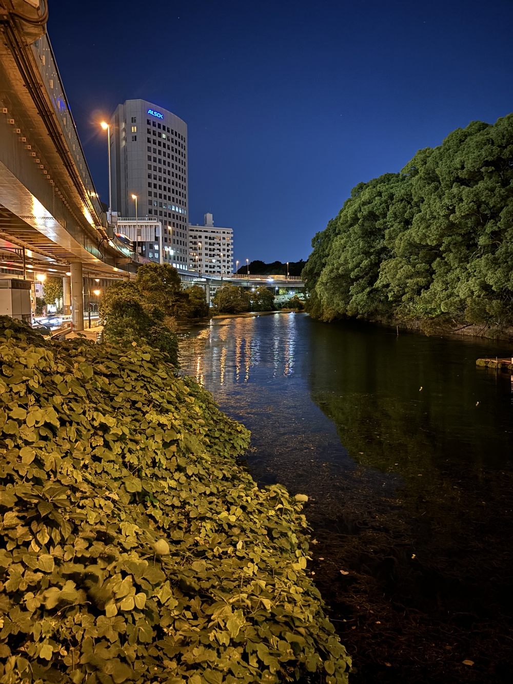 歌川広重と共にRUN 赤坂の写真3