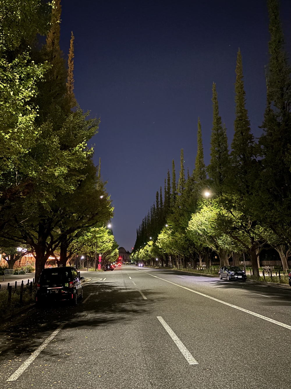 歌川広重と共にRUN 赤坂の写真5