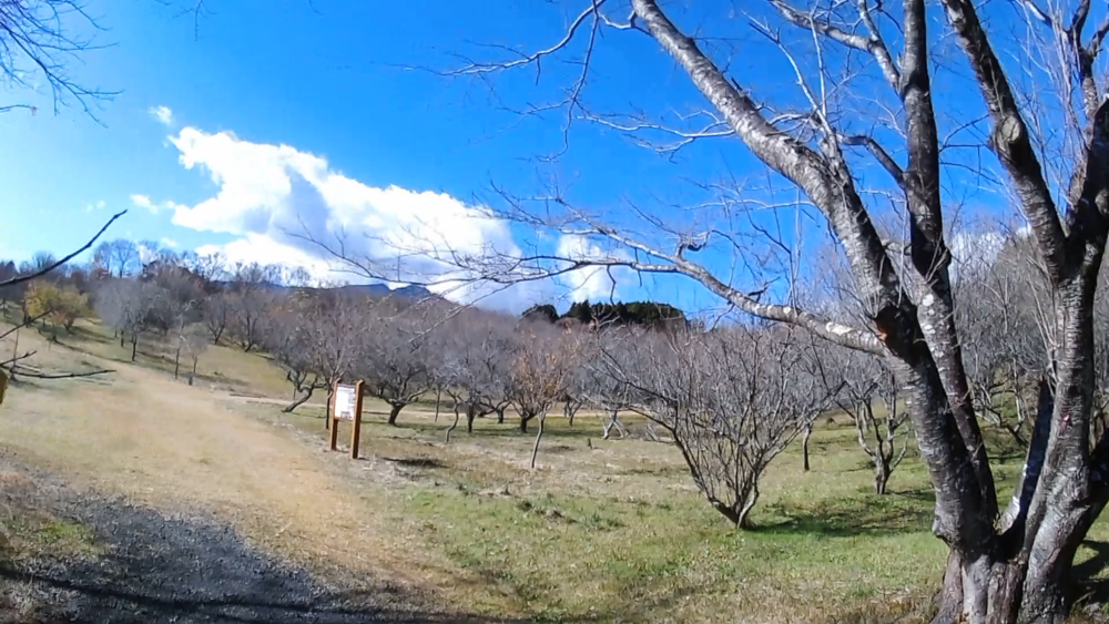 静岡県裾野市、富士山パノラマロードをランニング１０キロの写真7