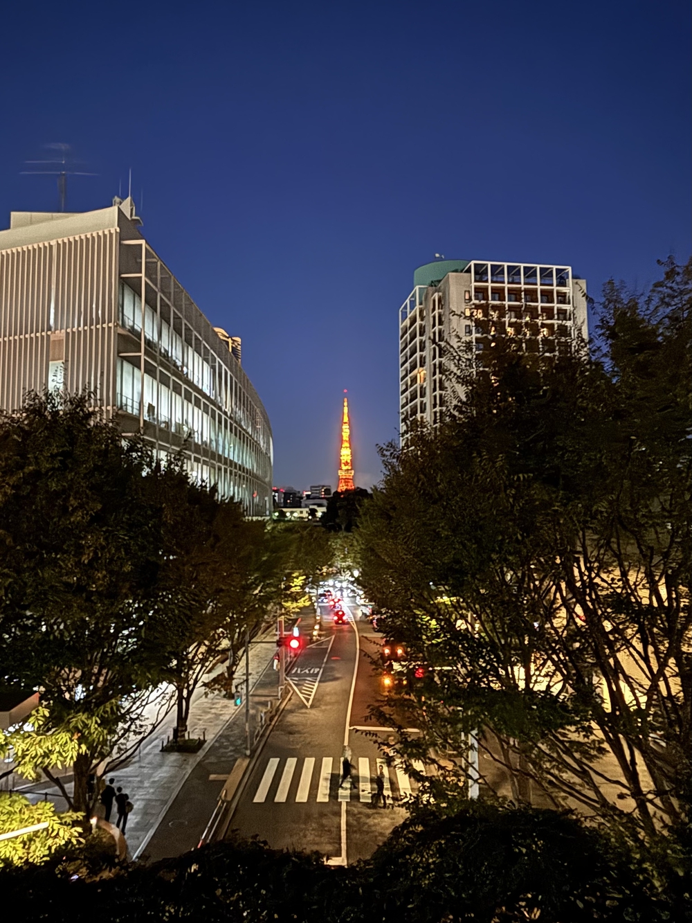 歌川広重と共にRUN 渋谷〜虎ノ門の写真5