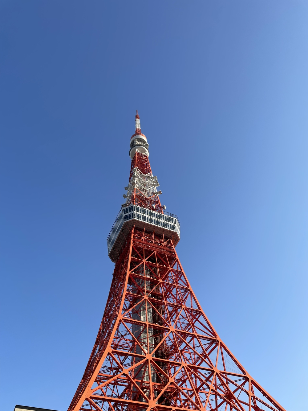 東京観光ランができる周回コースの写真6