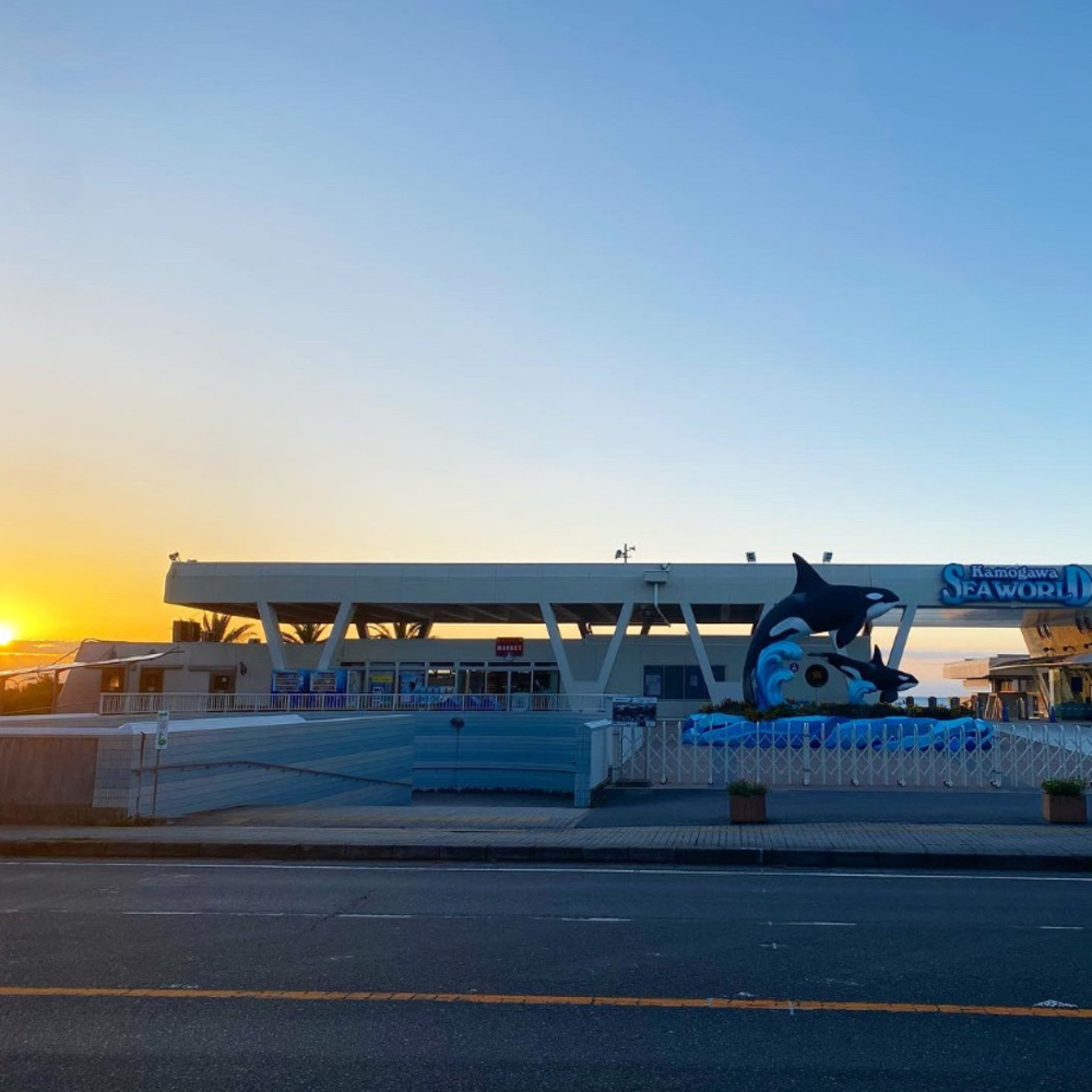 鴨川シーワールドの海岸沿いを満喫するシーサイド朝ラン5kmの写真4