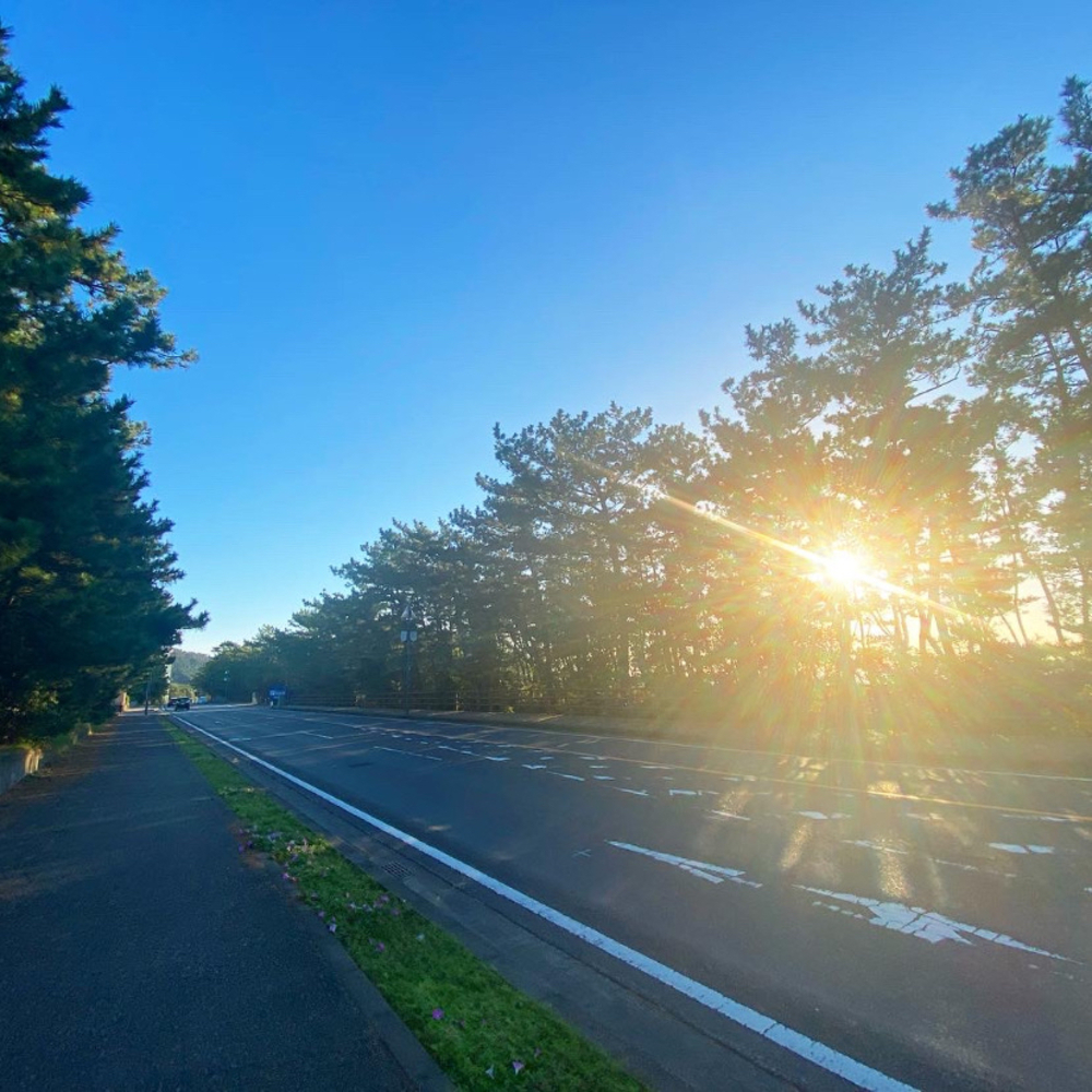 鴨川シーワールドの海岸沿いを満喫するシーサイド朝ラン5kmの写真5