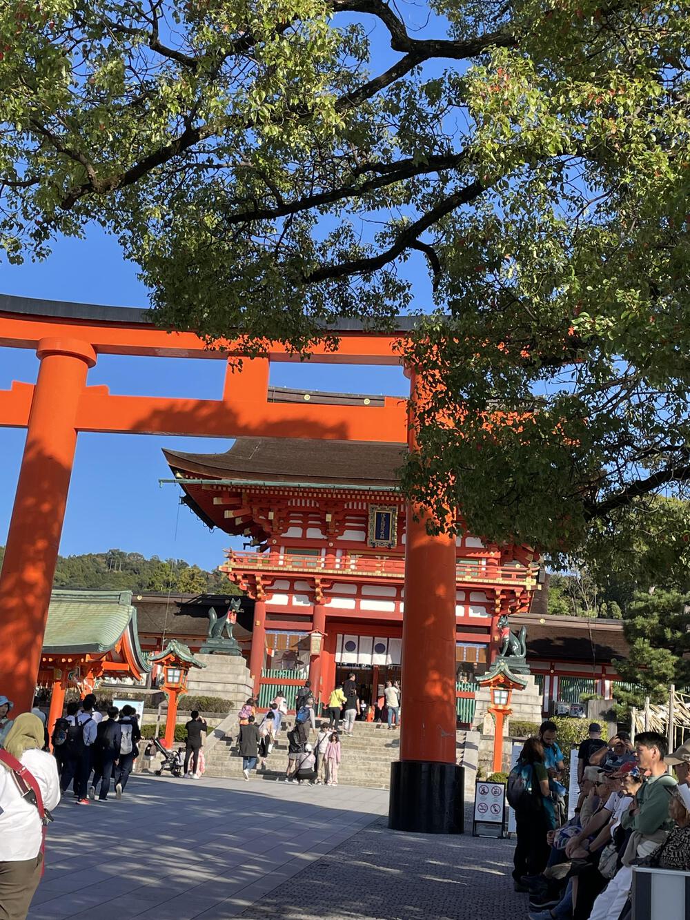 丹波橋〜伏見桃山城〜藤森神社〜伏見稲荷、秋晴れの京都をひっそり巡るの写真6