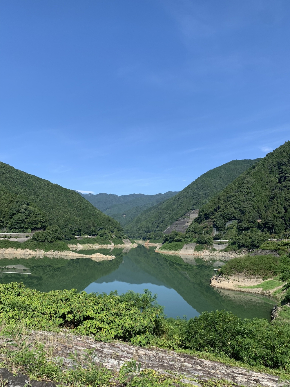 【トレイル】奥武蔵　白谷沢滝滝滝〜棒ノ折山周回の写真3