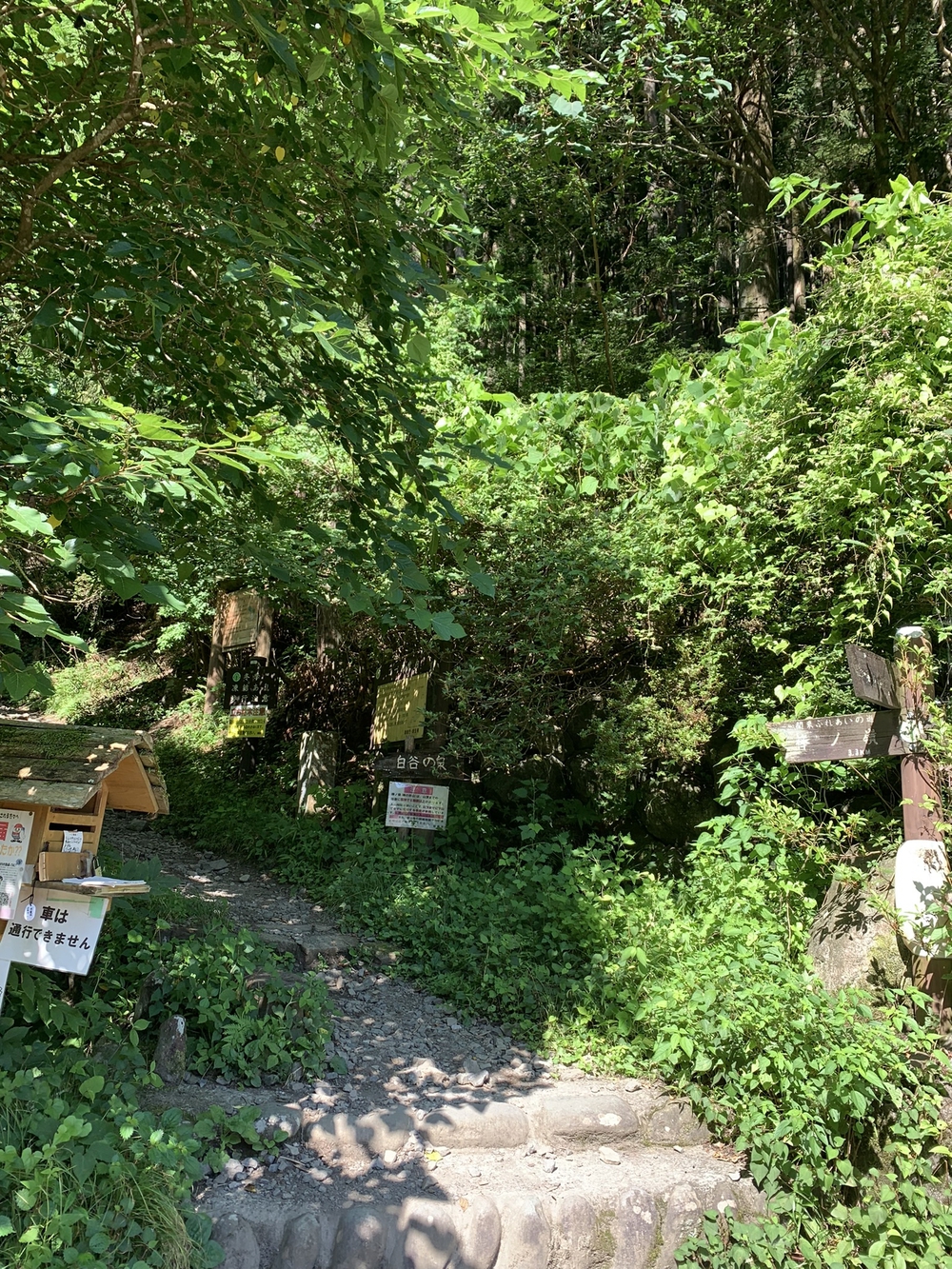 【トレイル】奥武蔵　白谷沢滝滝滝〜棒ノ折山周回の写真4