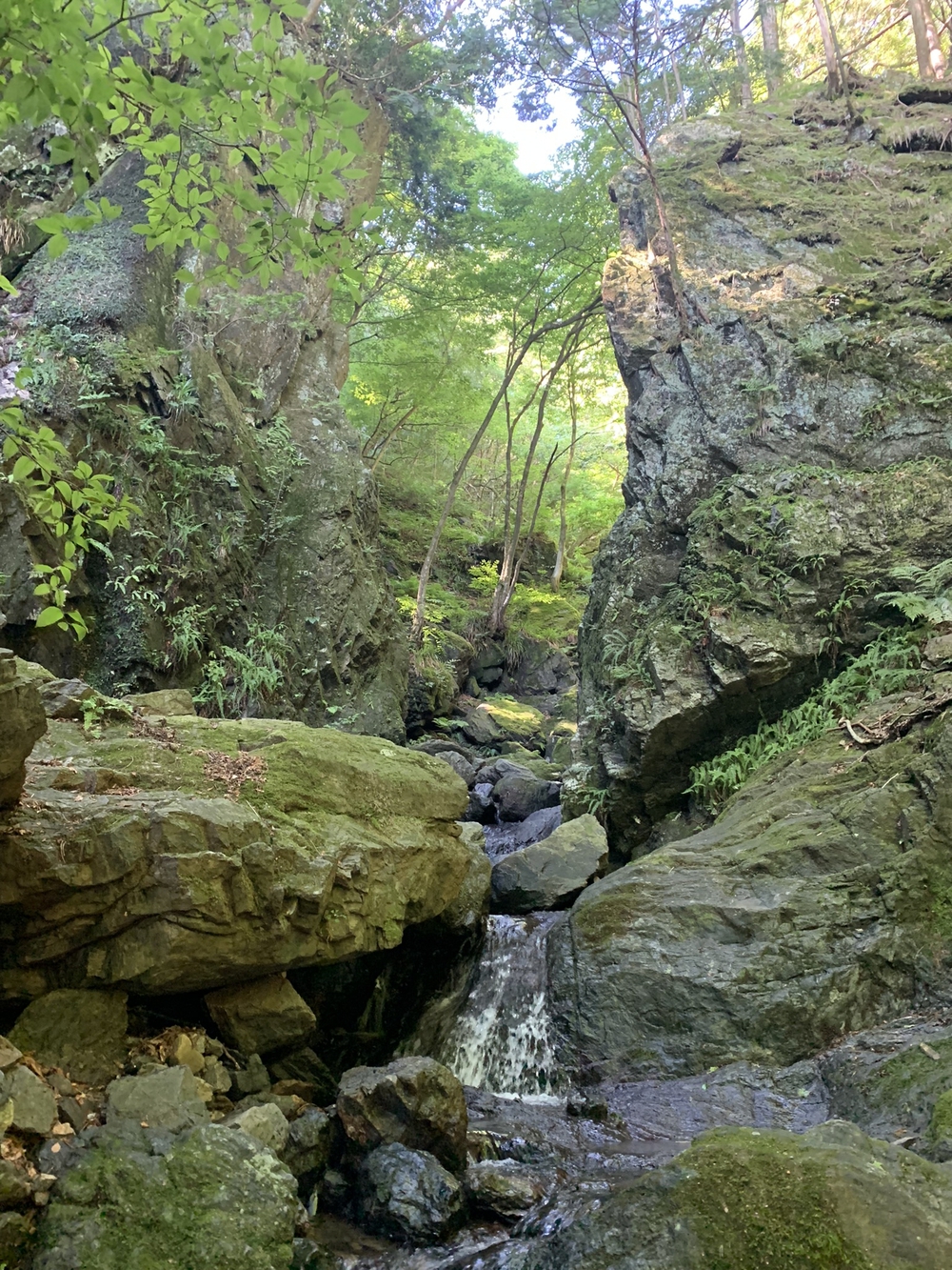 【トレイル】奥武蔵　白谷沢滝滝滝〜棒ノ折山周回の写真9