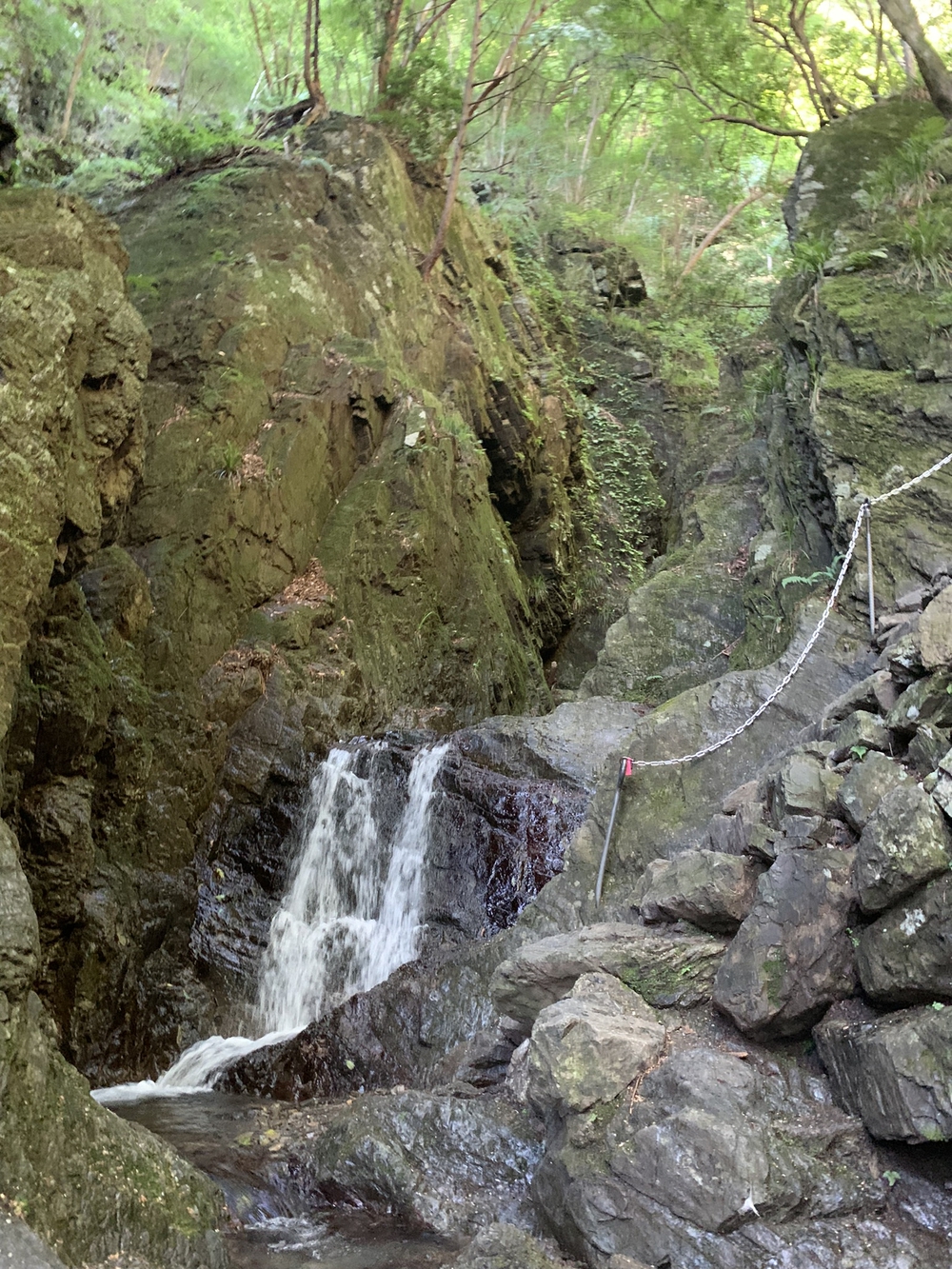 【トレイル】奥武蔵　白谷沢滝滝滝〜棒ノ折山周回の写真13