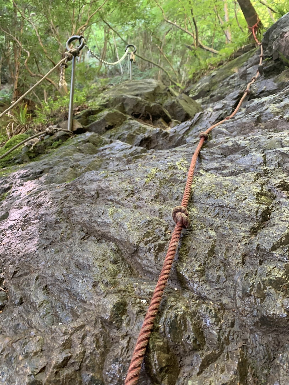 【トレイル】奥武蔵　白谷沢滝滝滝〜棒ノ折山周回の写真14