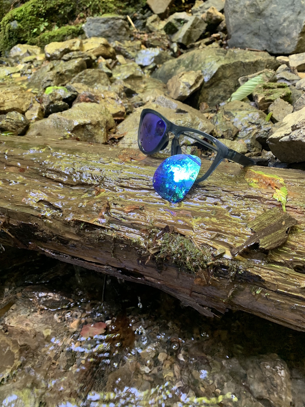 【トレイル】奥武蔵　白谷沢滝滝滝〜棒ノ折山周回の写真16