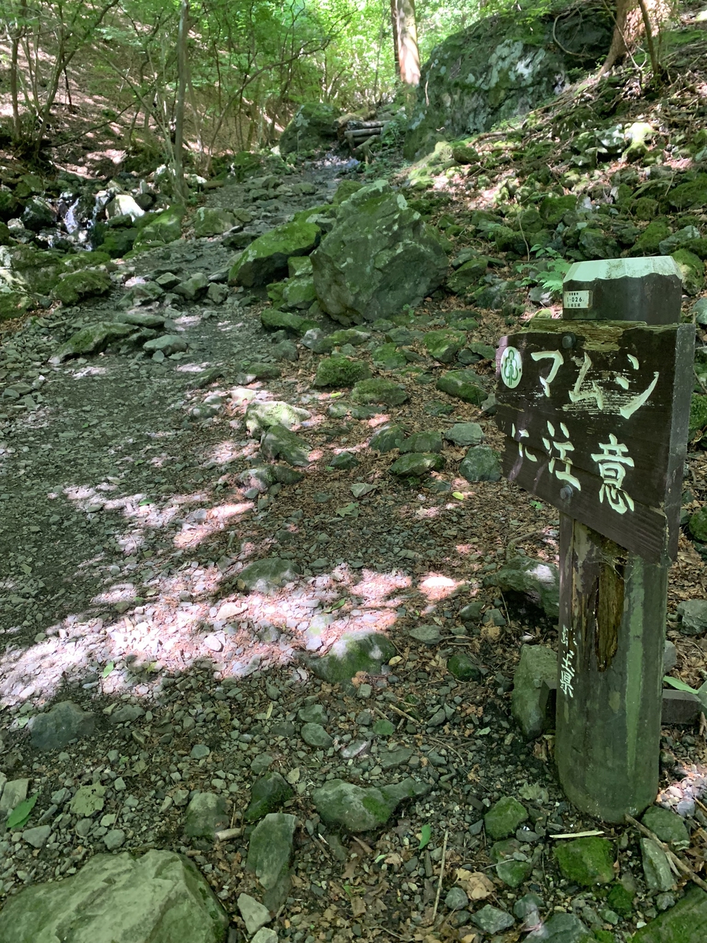 【トレイル】奥武蔵　白谷沢滝滝滝〜棒ノ折山周回の写真17