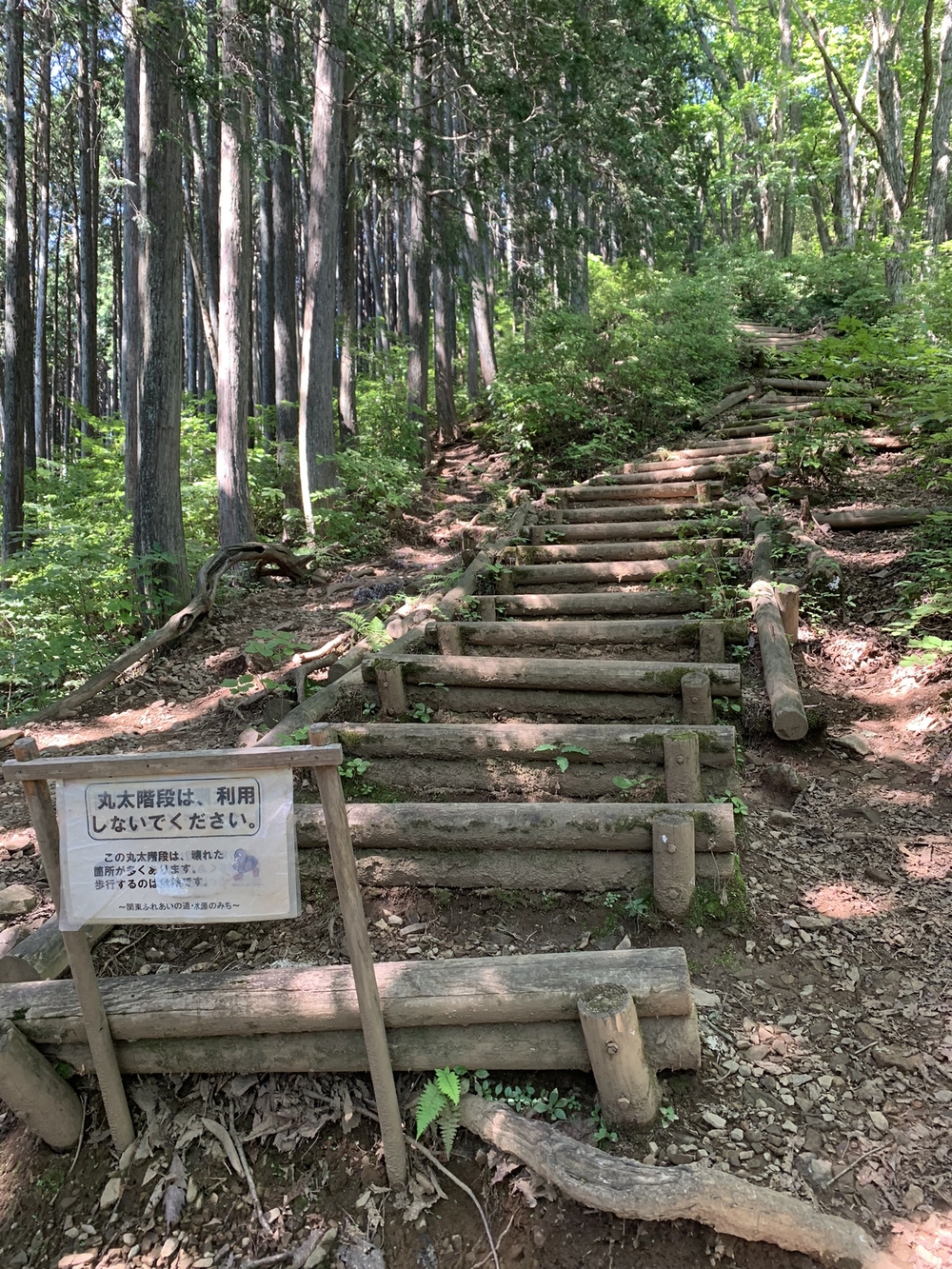 【トレイル】奥武蔵　白谷沢滝滝滝〜棒ノ折山周回の写真18