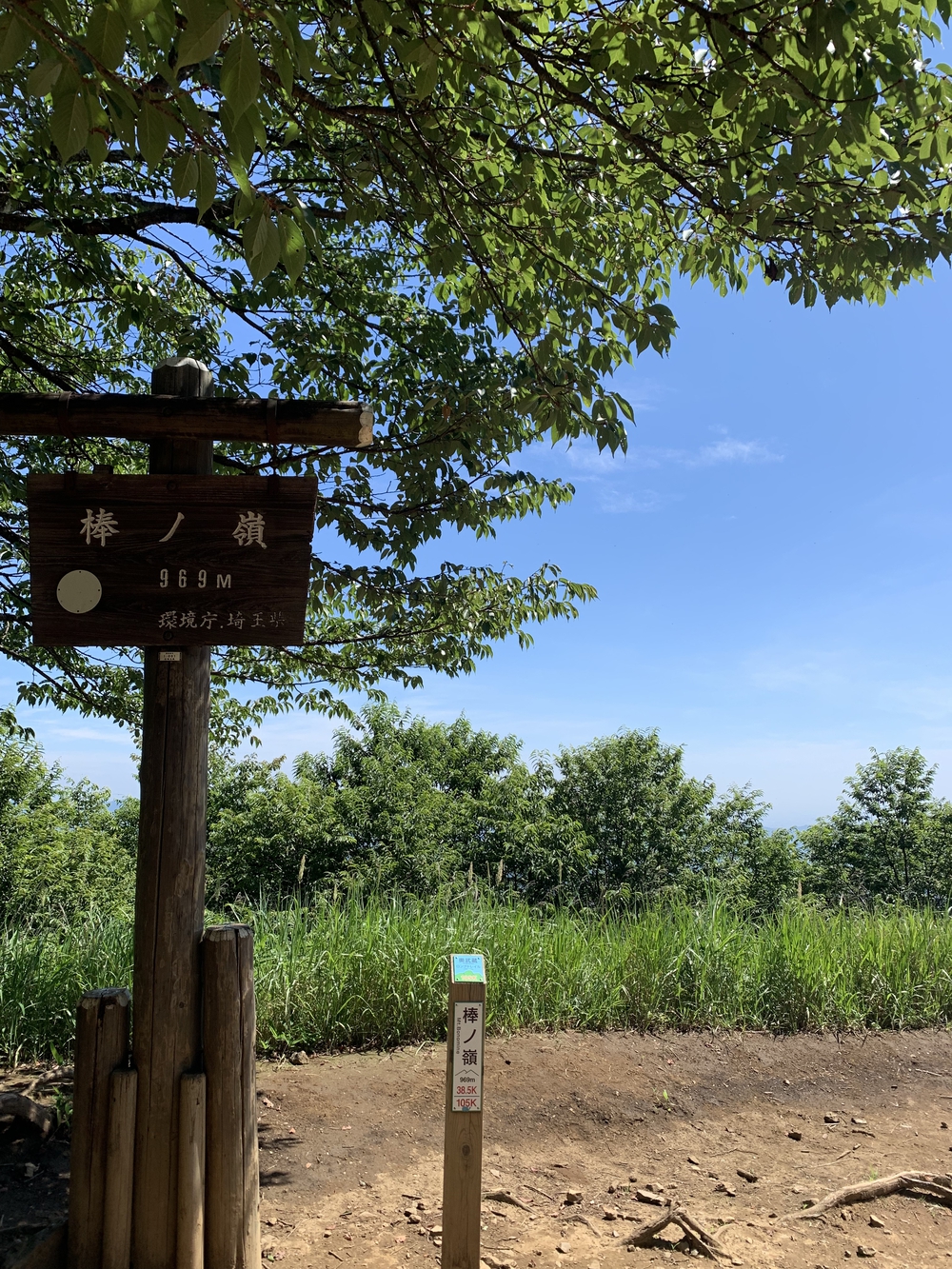 【トレイル】奥武蔵　白谷沢滝滝滝〜棒ノ折山周回の写真21