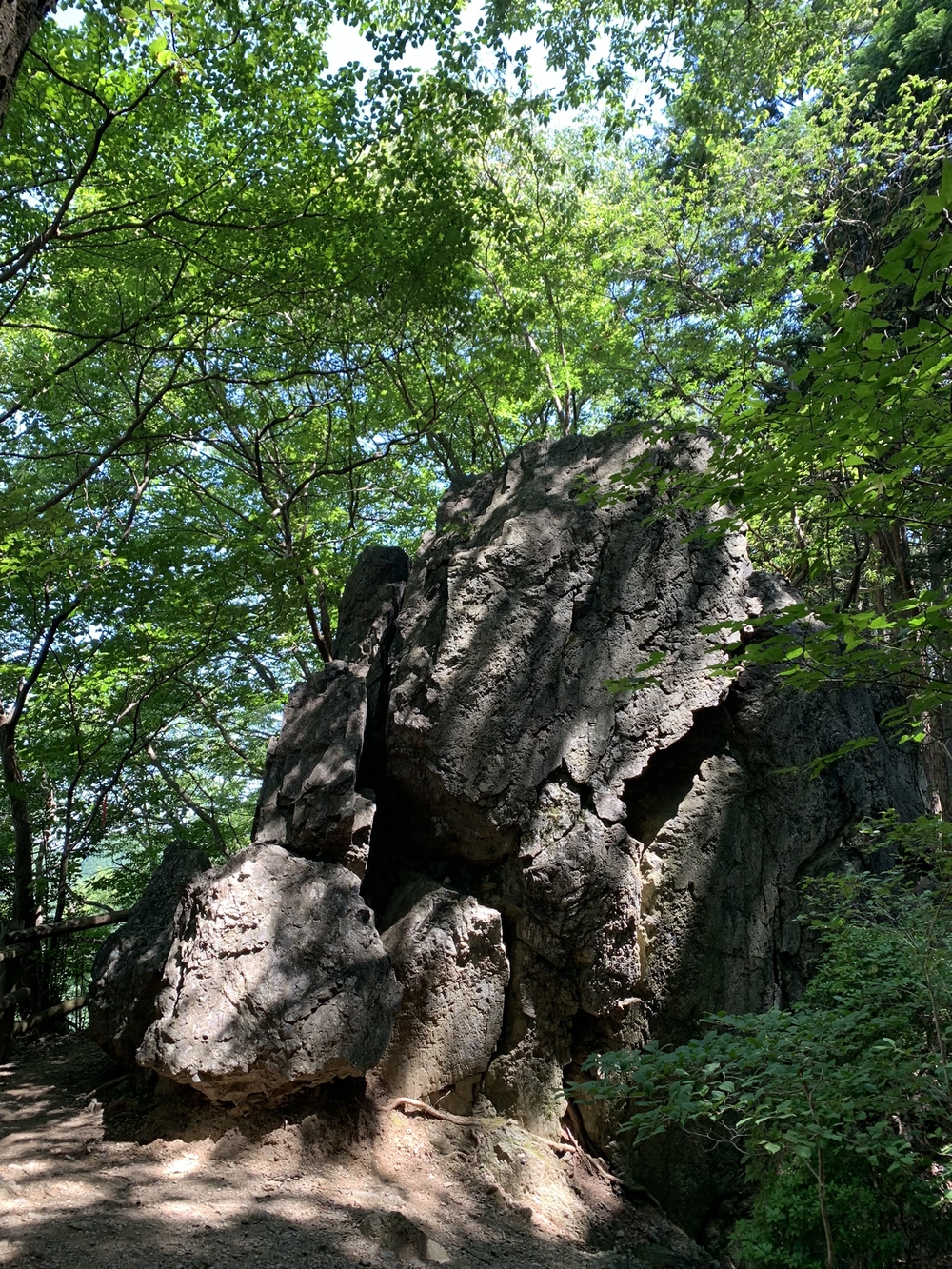【トレイル】奥武蔵　白谷沢滝滝滝〜棒ノ折山周回の写真22