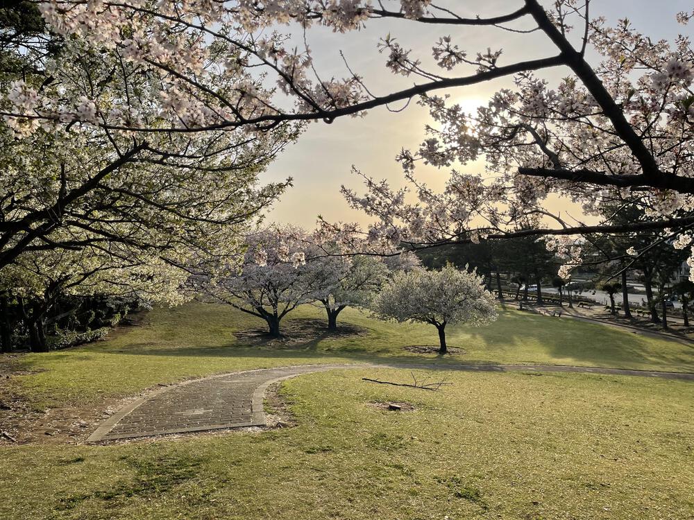 木更津潮浜公園周回コースの写真6