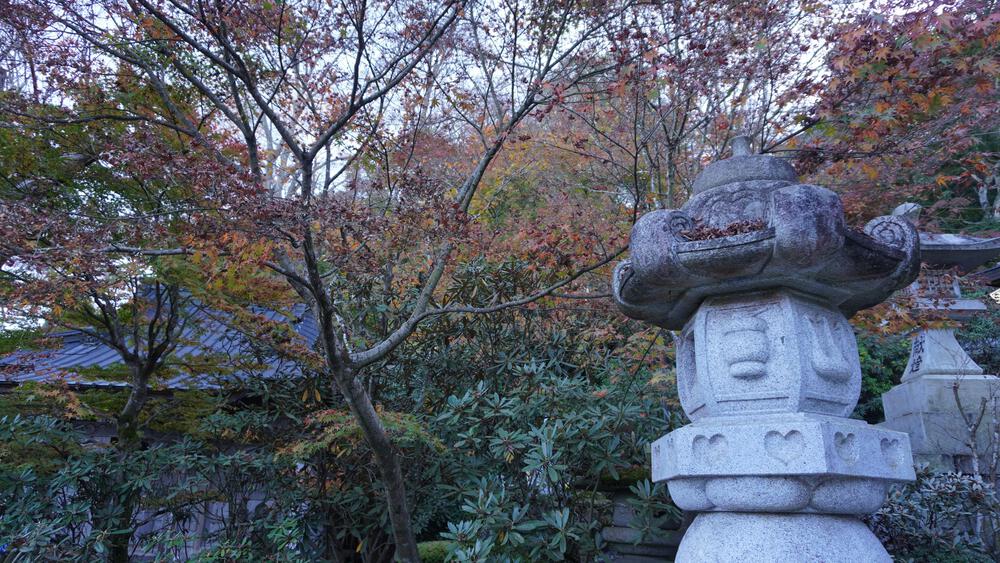 【茨城の紅葉、動画あり】袋田の滝と永源寺で紅葉の領域展開、駅からランニングで行けるアクセス良好の紅葉スポットの写真10