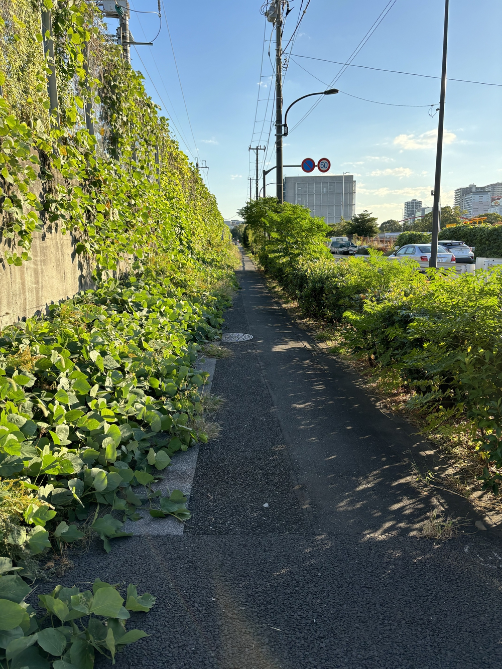 歌川広重と共にRUN 高輪の写真4