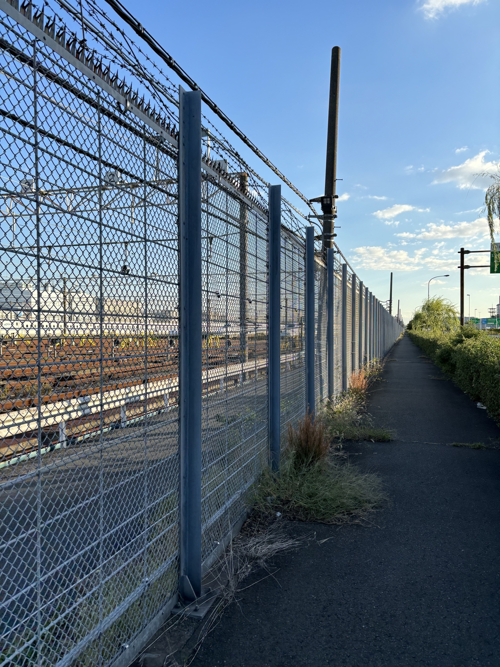 歌川広重と共にRUN 高輪の写真5