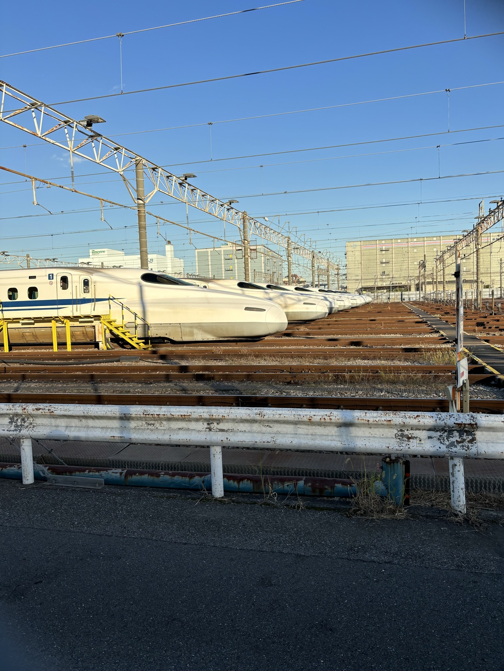 歌川広重と共にRUN 高輪の写真6