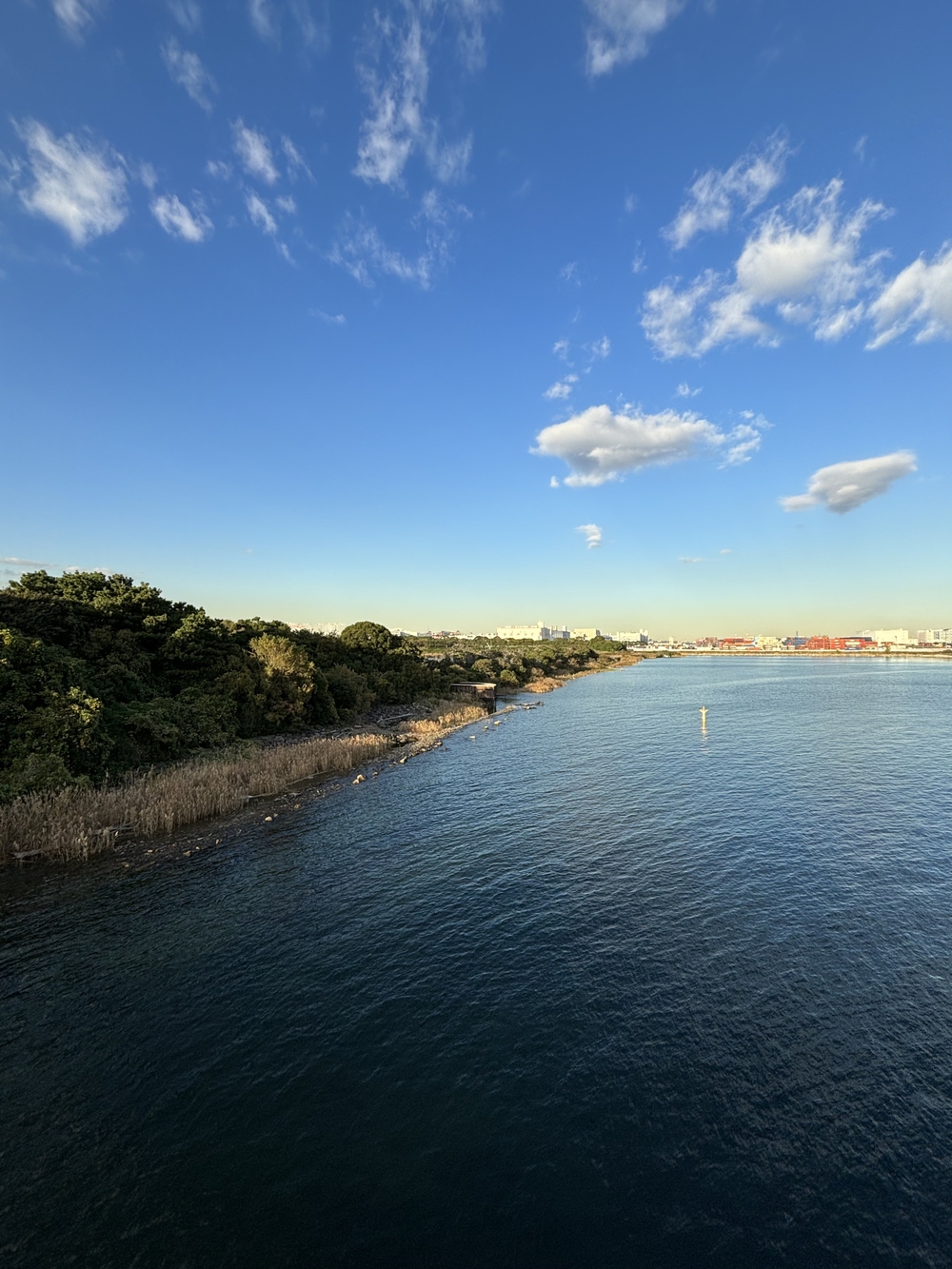 歌川広重と共にRUN 高輪の写真7