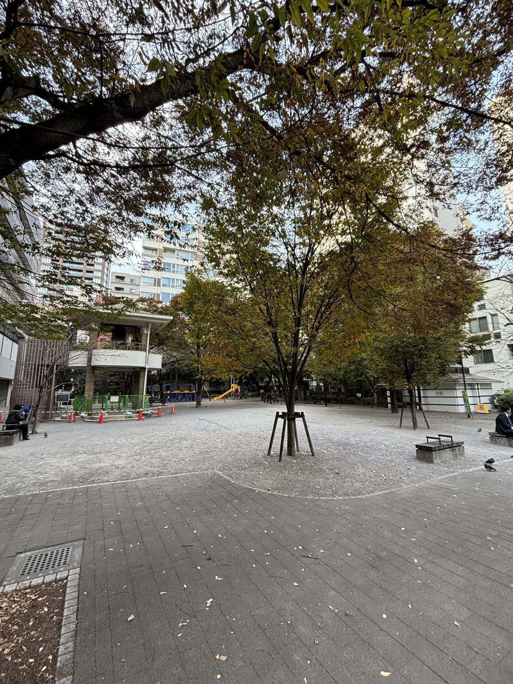 歌川広重と共にRUN 大伝馬町の写真3