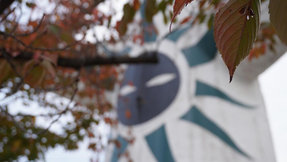 【大阪、動画あり】紅葉の万博記念公園は紅葉よりもやっぱり太陽の塔だったの写真3