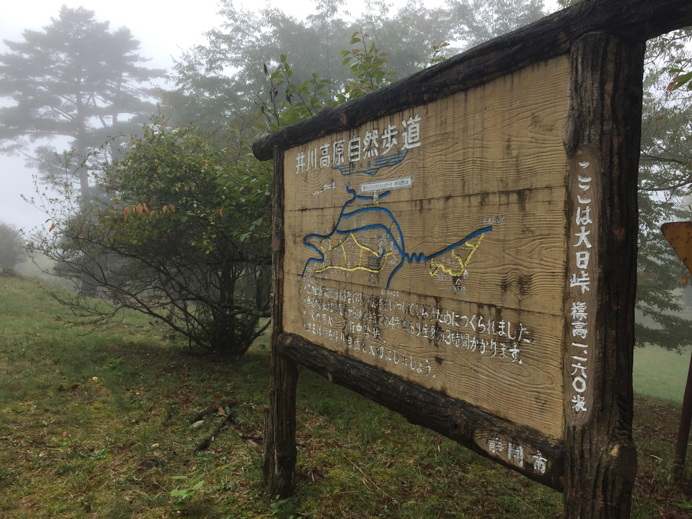 井川自然の家トレイル 8㎞の写真3