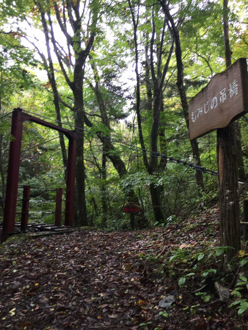 井川自然の家トレイル 8㎞の写真5