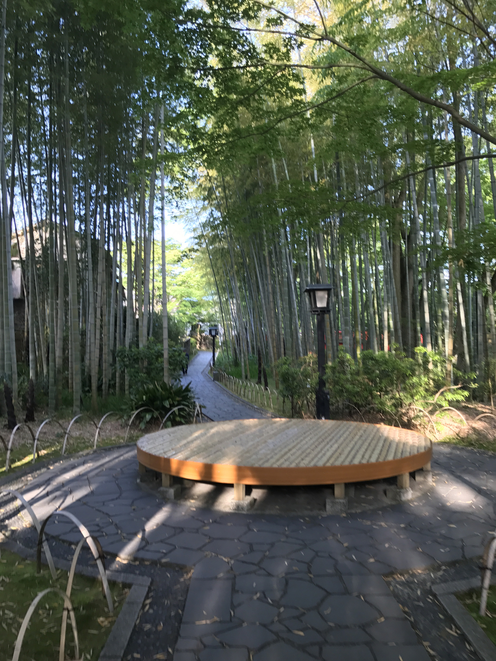 修繕寺温泉観光ランの写真3