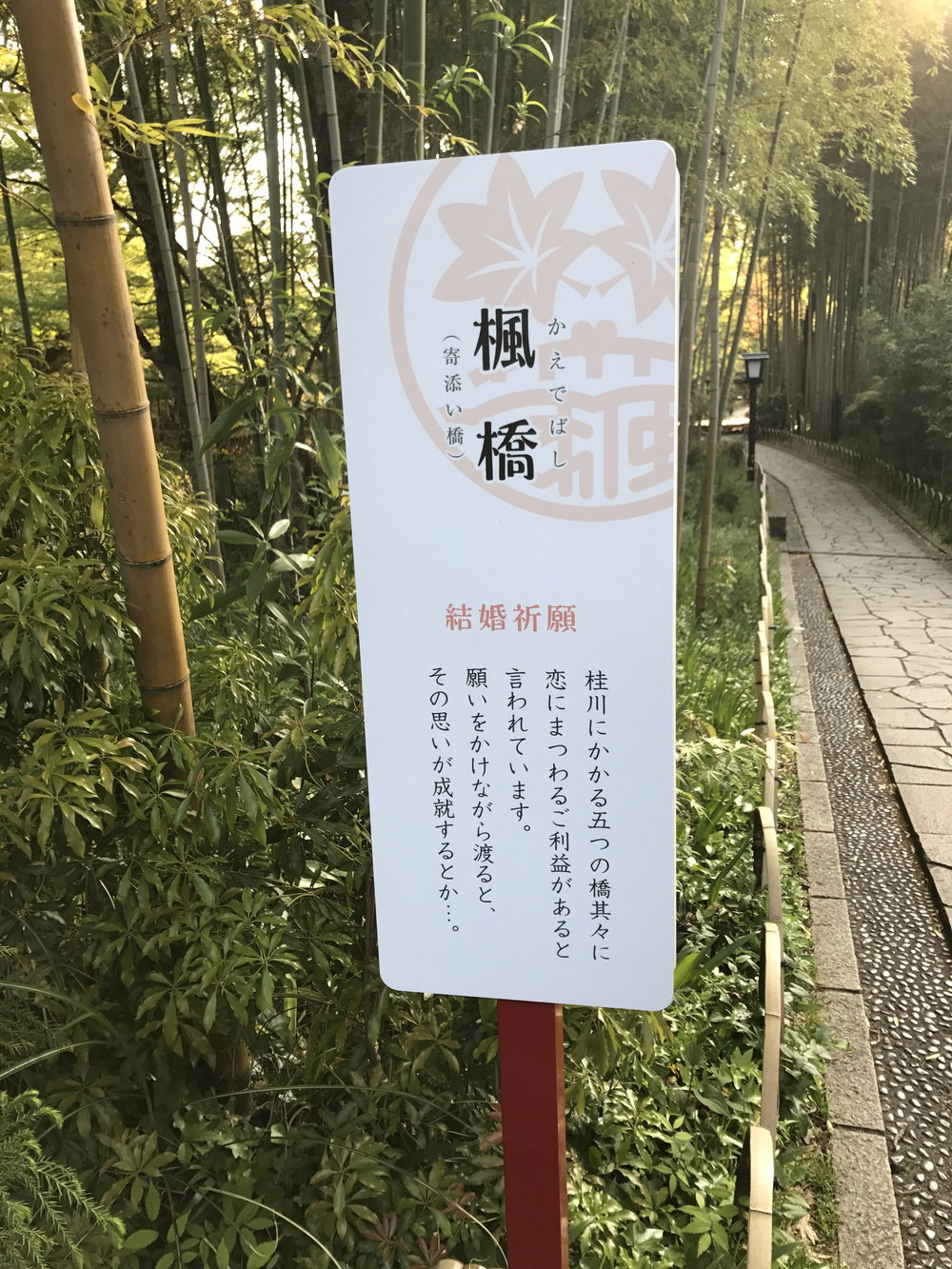 修繕寺温泉観光ランの写真5