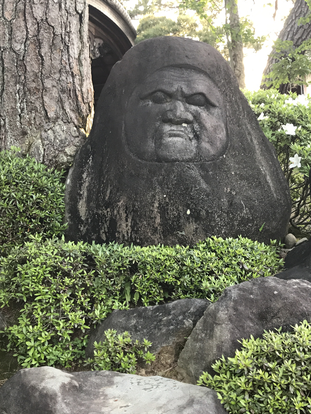 修繕寺温泉観光ランの写真6