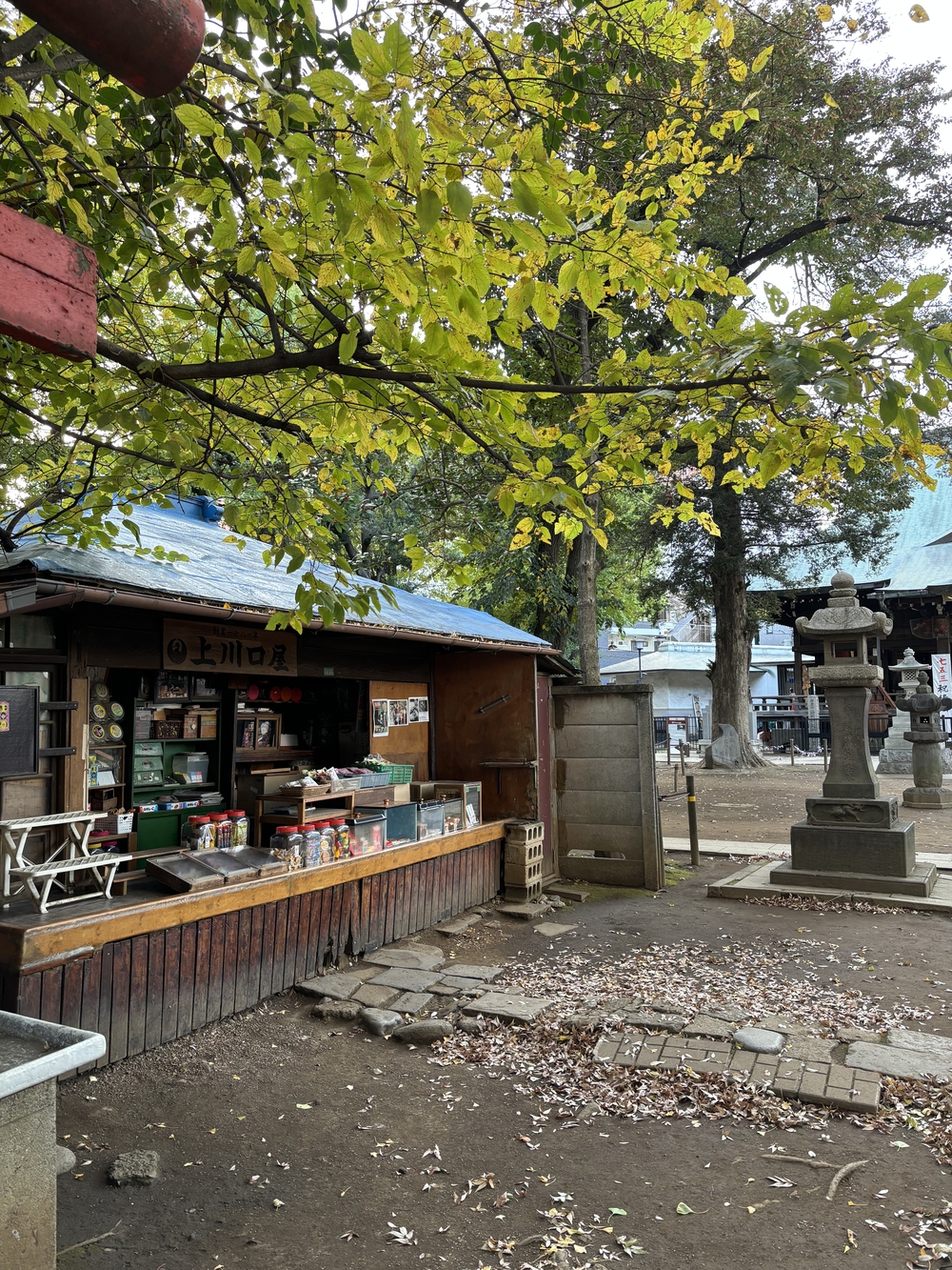 歌川広重と共にRUN 雑司ヶ谷の写真3