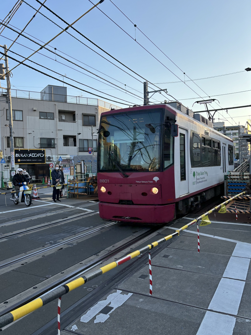 歌川広重と共にRUN 雑司ヶ谷の写真5