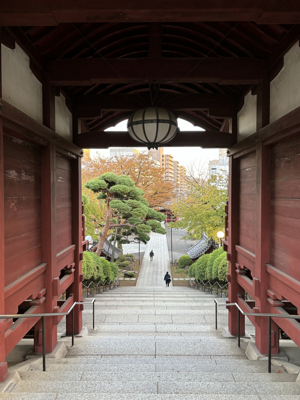 歌川広重と共にRUN 雑司ヶ谷の写真6