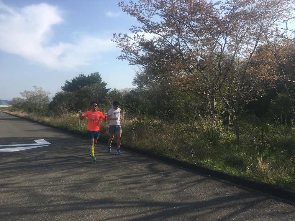 月例しずおかマラソンコースの写真6