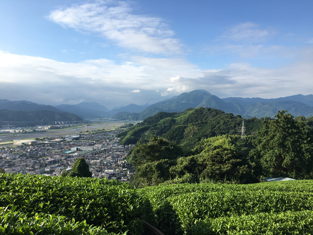 出張ラン 静岡シティトレイル 浅間神社~賤機山~鯨ヶ池　19㎞の写真3