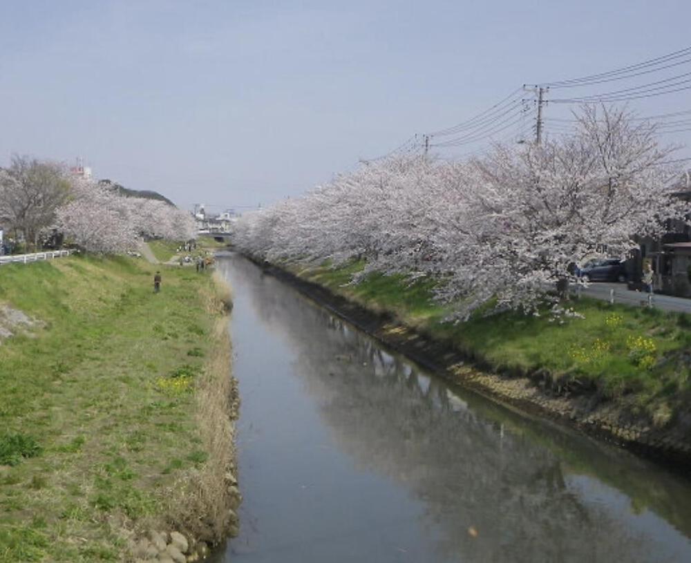 木更津太田山&矢那川沿い　往復7.6キロの写真3