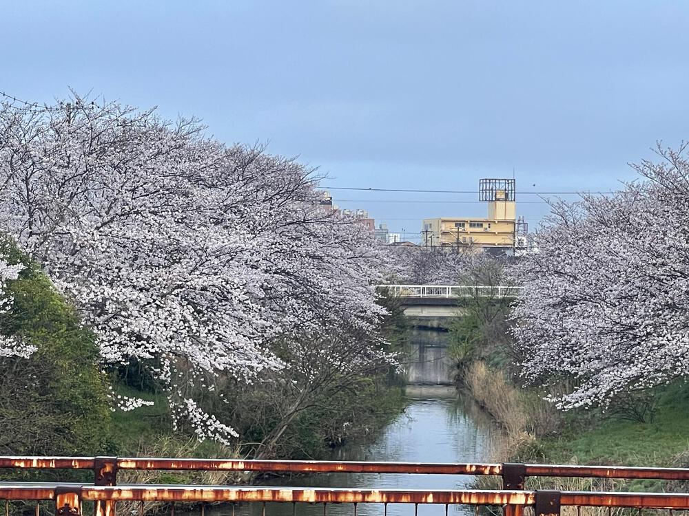 木更津太田山&矢那川沿い　往復7.6キロの写真6