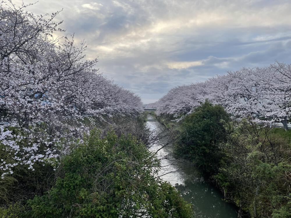 木更津太田山&矢那川沿い　往復7.6キロの写真7