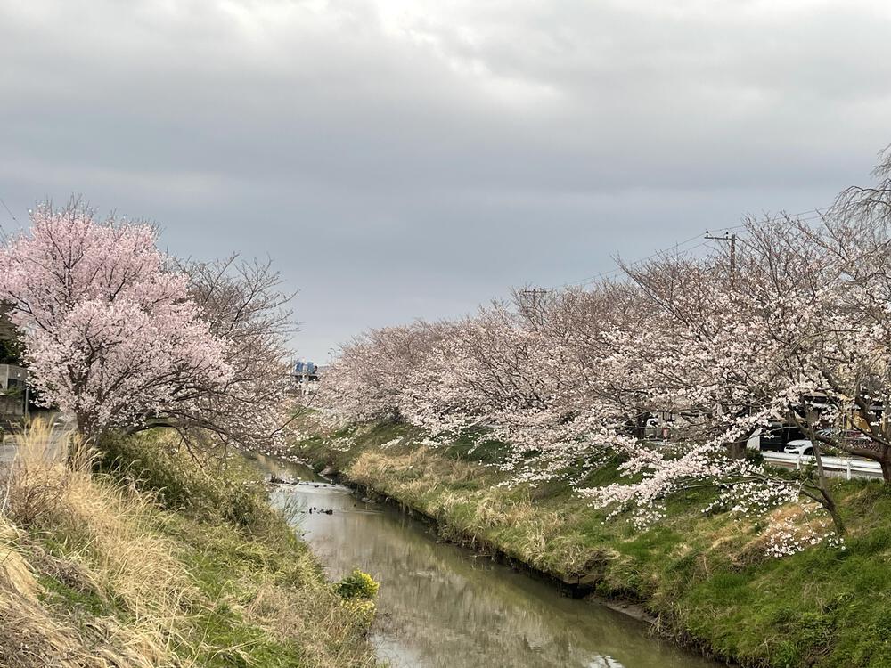 木更津太田山&矢那川沿い　往復7.6キロの写真10