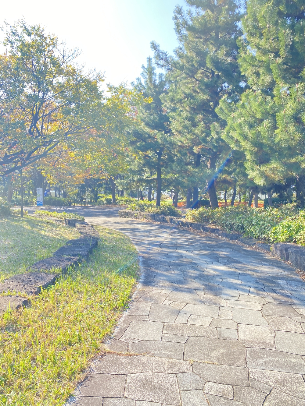 東京ビッグサイト～上野　新旧東京ハーフマラソン21キロの写真5