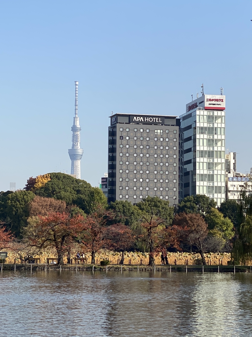 東京ビッグサイト～上野　新旧東京ハーフマラソン21キロの写真12