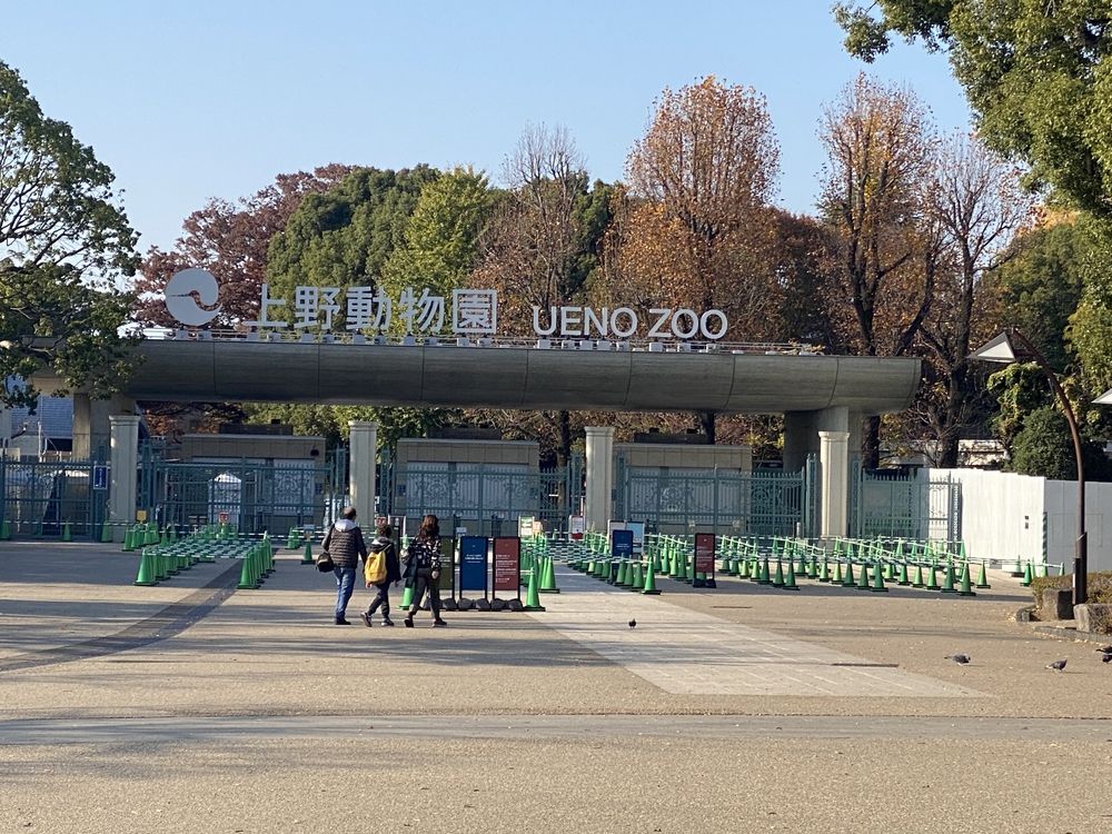 東京ビッグサイト～上野　新旧東京ハーフマラソン21キロの写真13