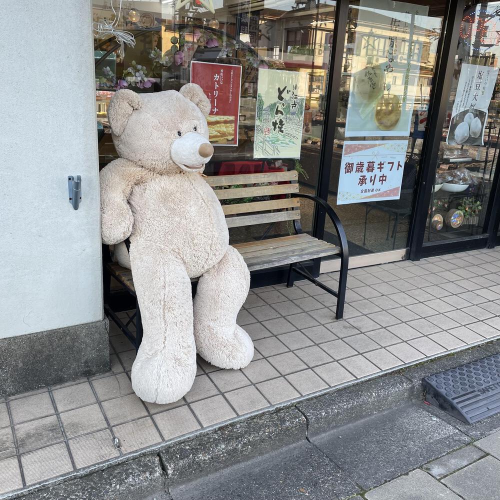 小江戸佐原の川岸の街並みと雄大な利根川河川敷の写真4