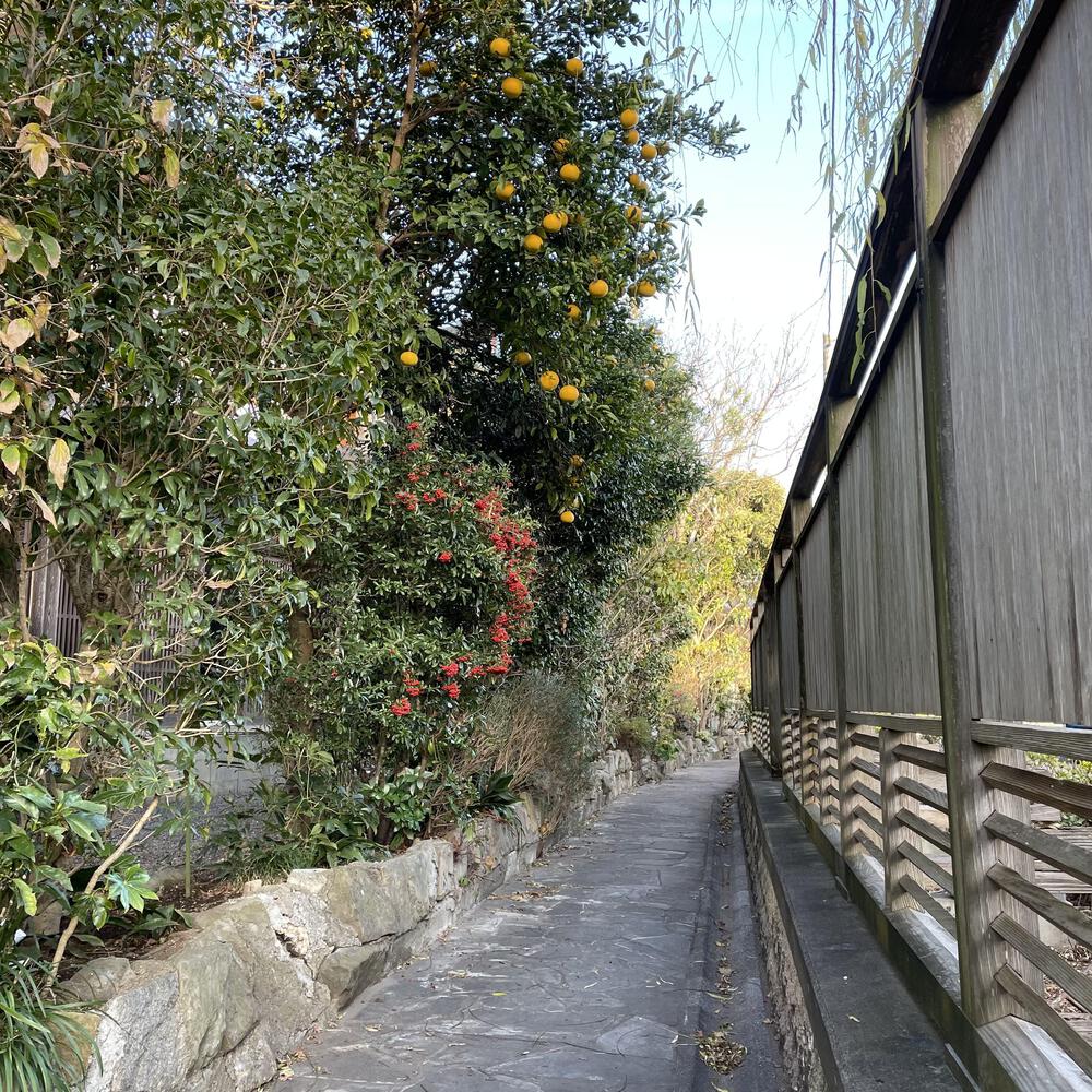 小江戸佐原の川岸の街並みと雄大な利根川河川敷の写真12