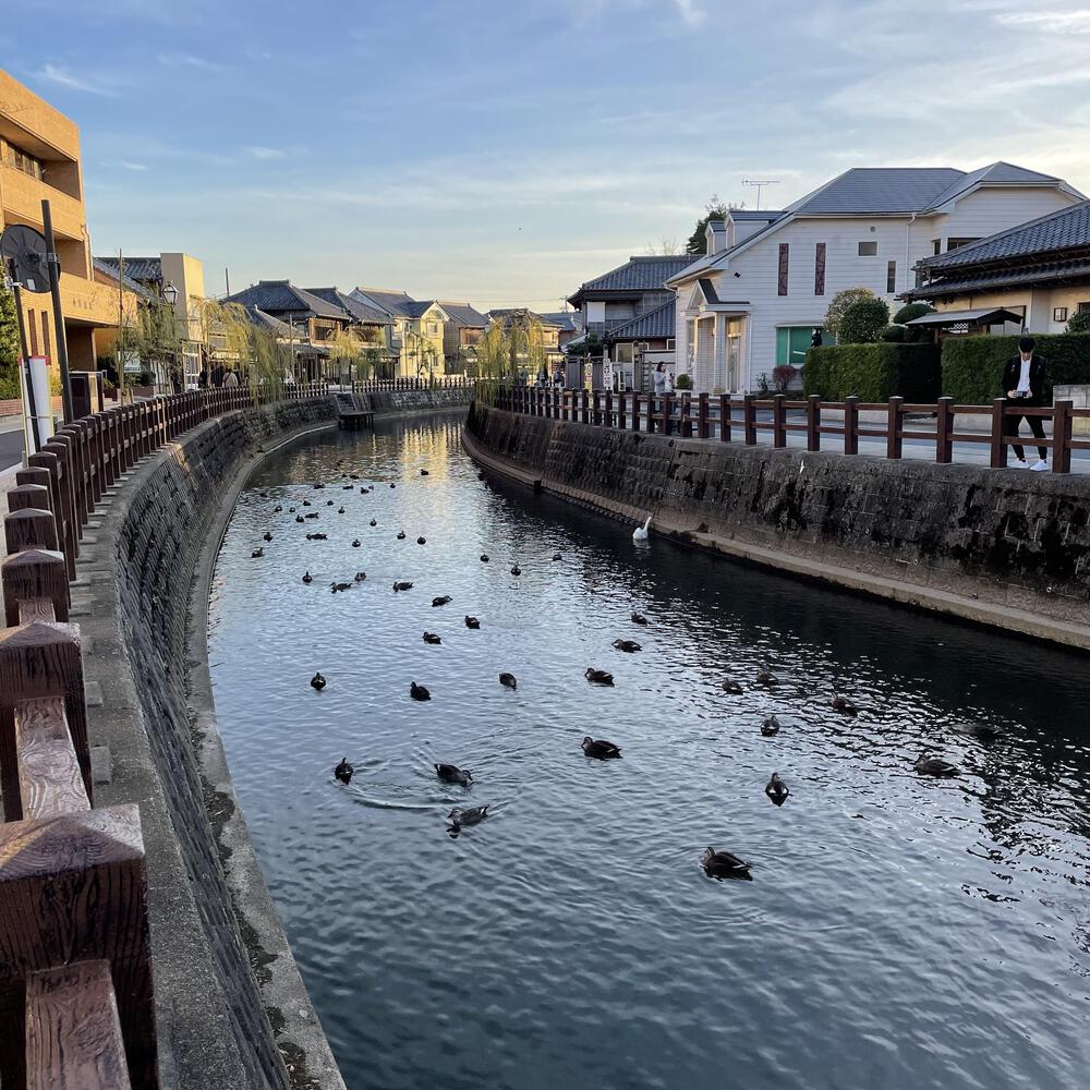 小江戸佐原の川岸の街並みと雄大な利根川河川敷の写真21