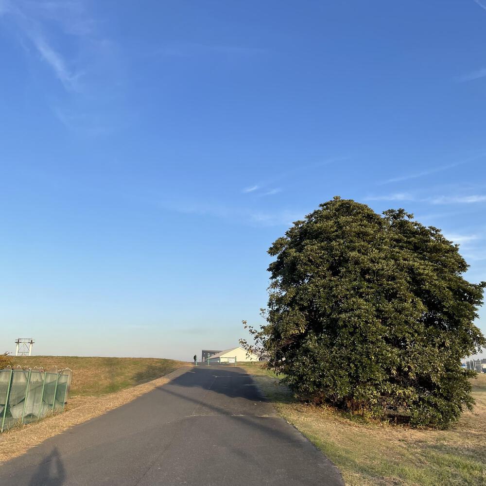 小江戸佐原の川岸の街並みと雄大な利根川河川敷の写真24