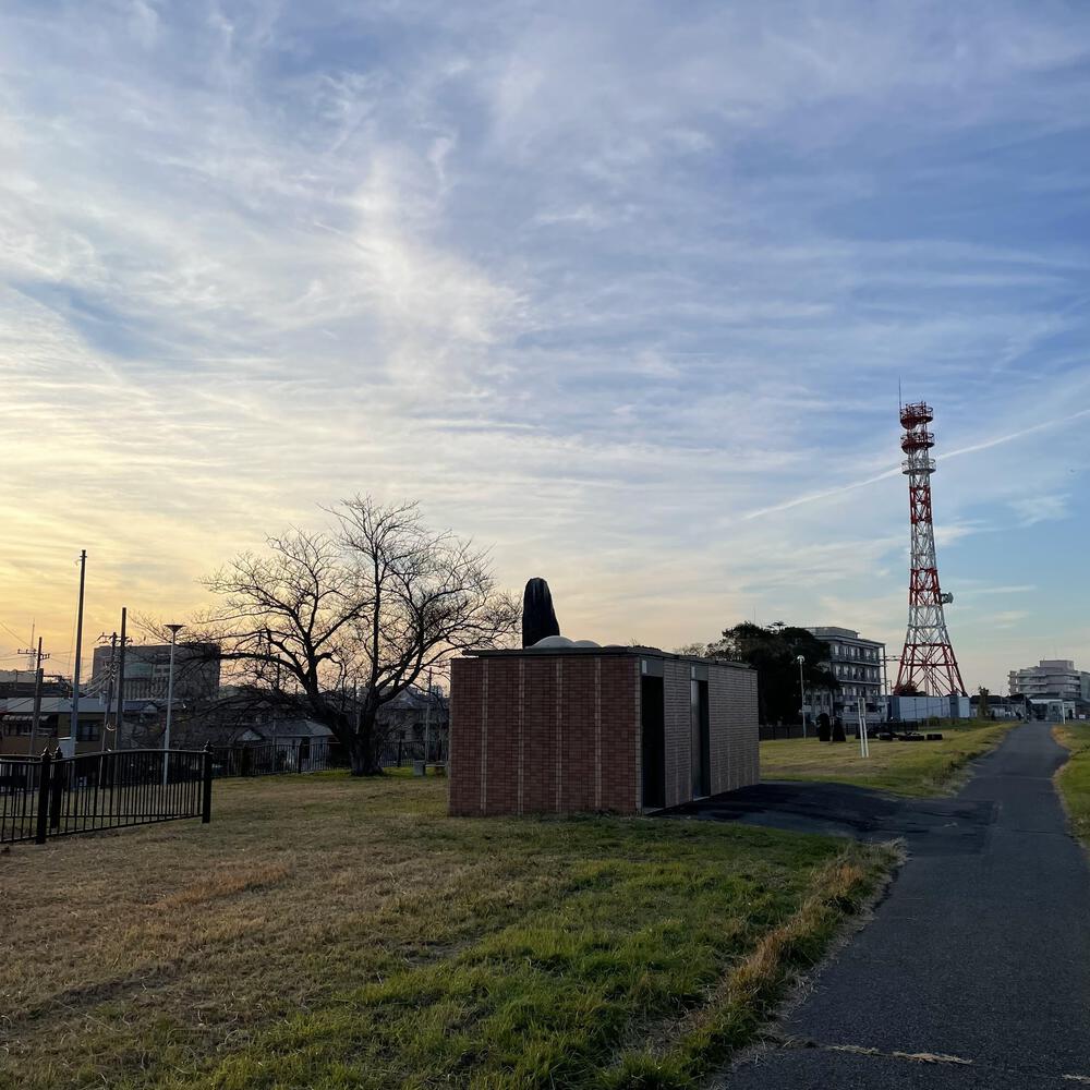 小江戸佐原の川岸の街並みと雄大な利根川河川敷の写真30